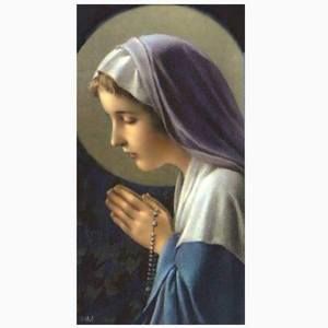 Meet your Posher, Claire